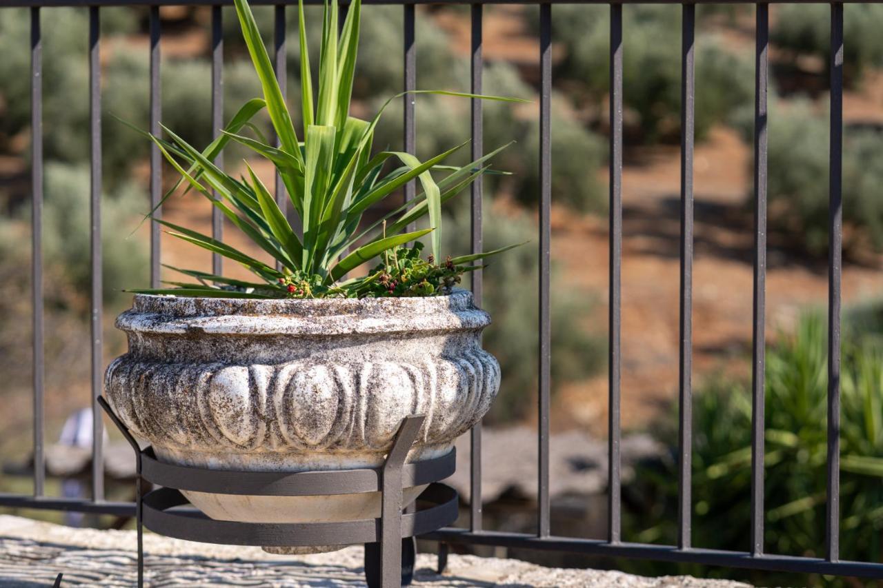 Hacienda La Buena Vida B&B En Appartementen Algarinejo Bagian luar foto