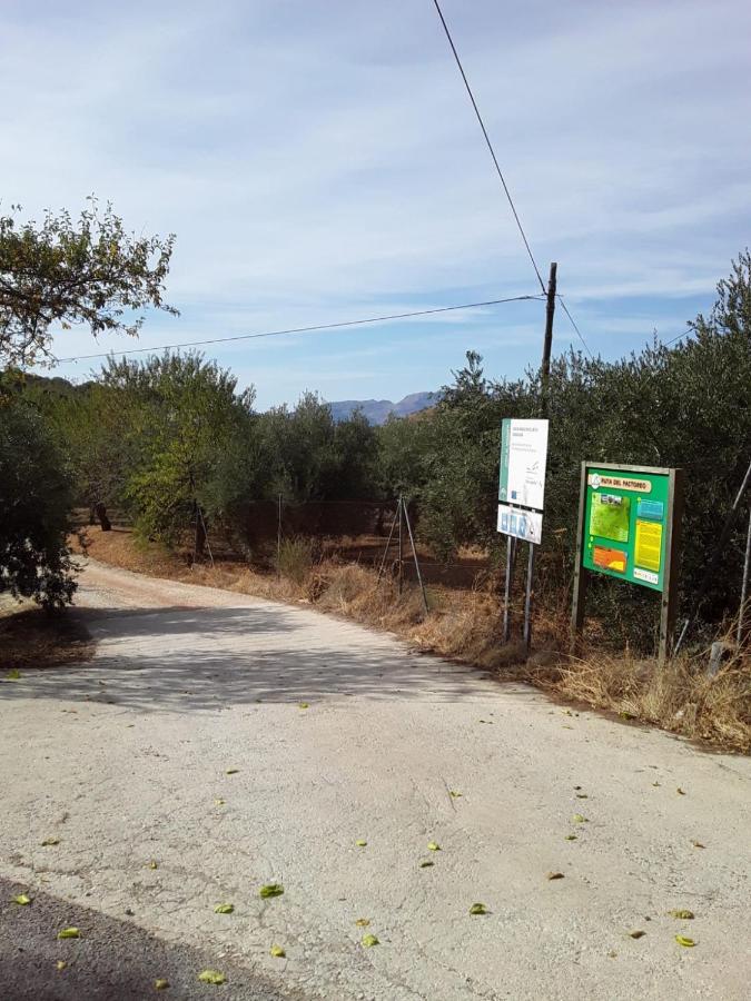 Hacienda La Buena Vida B&B En Appartementen Algarinejo Bagian luar foto