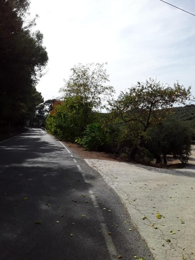 Hacienda La Buena Vida B&B En Appartementen Algarinejo Bagian luar foto